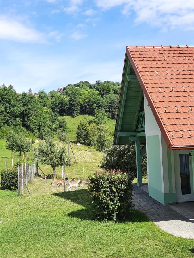 Holiday Home Neokrnjena Narava Sevnica Exterior foto