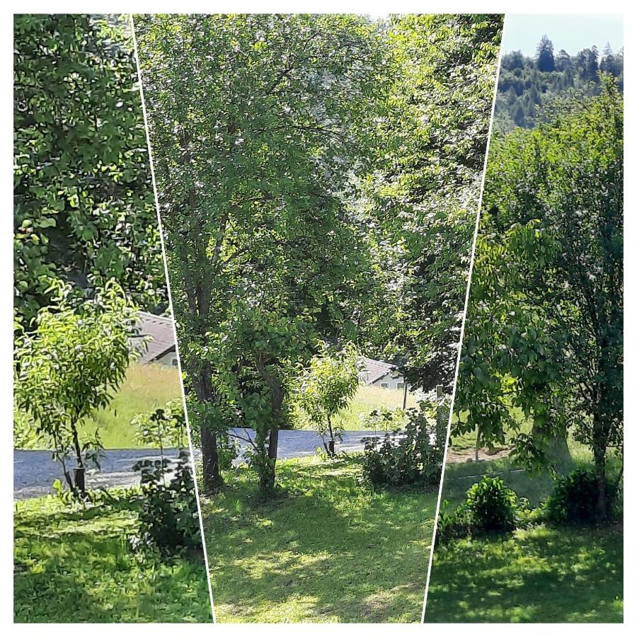 Holiday Home Neokrnjena Narava Sevnica Exterior foto