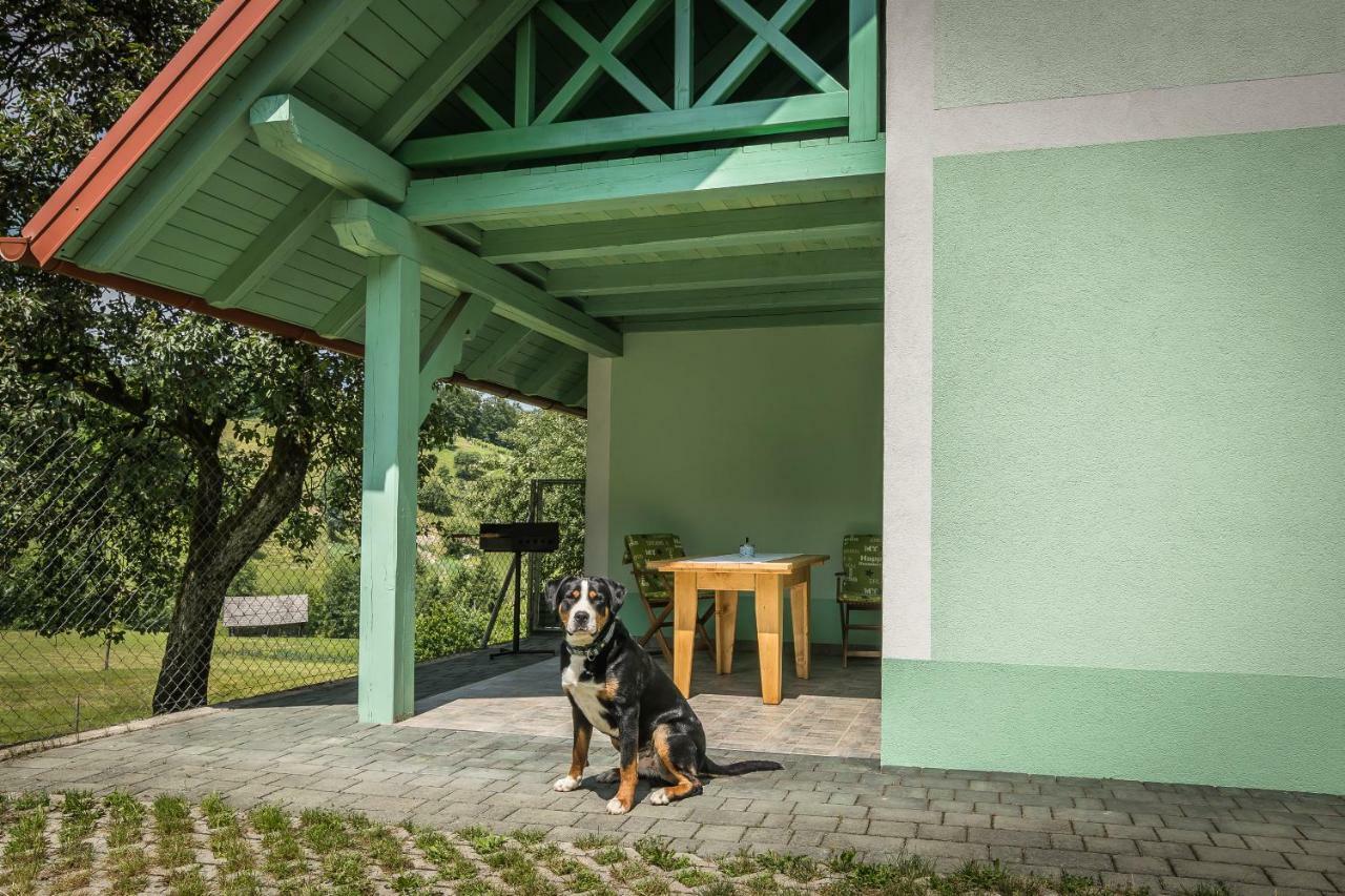 Holiday Home Neokrnjena Narava Sevnica Exterior foto
