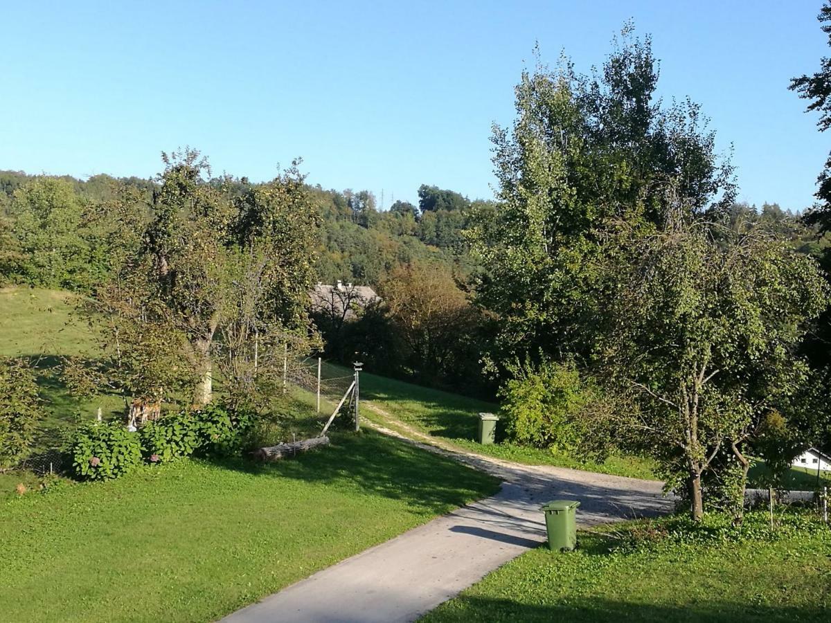 Holiday Home Neokrnjena Narava Sevnica Exterior foto